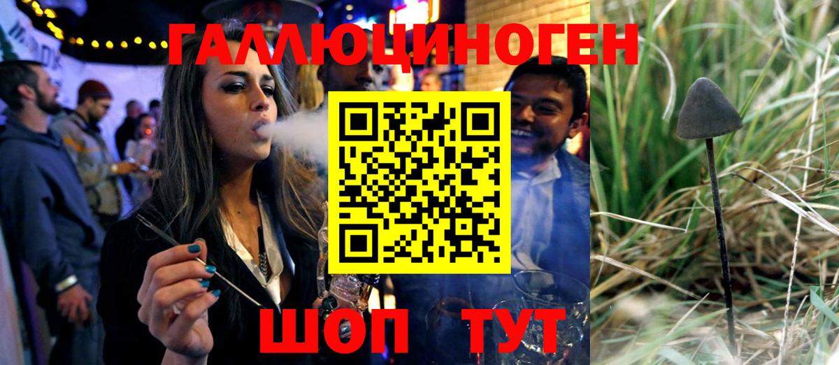 Реутов  купить наркотик  Галлюциногенные грибы Psilocybe  Вход с VPN  Псилоцибиновые грибы MAGIC MUSHROOMS 