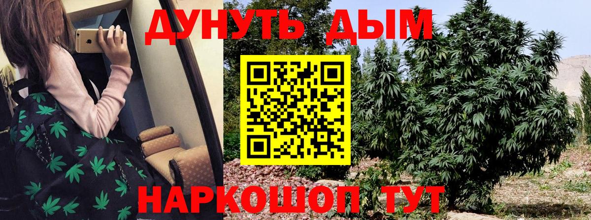 Марихуана планчик  МАРИХУАНА индика  Вход с VPN  Реутов  Марихуана сатива 